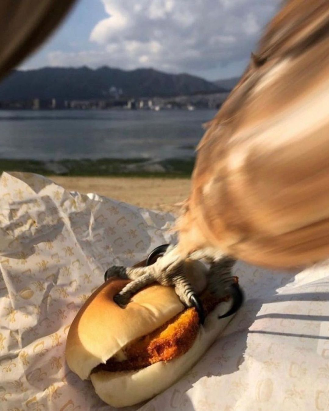 Eagle grabbing a burger